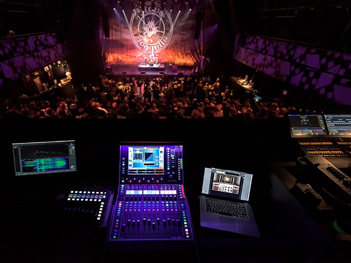 Steve ‘N’ Seagulls Spreads Their Wings with dLive