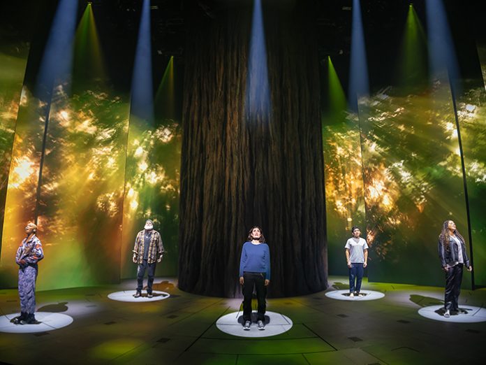 redwood_broadway_2025